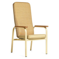 Bariatric Chairs (10)