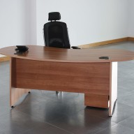 EX10 Kidney Desk