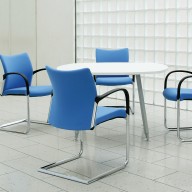 Trillipse Cantilever (9)