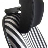 Zenith head rest