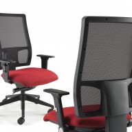 Harlequin_mesh_back_main