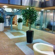 Rural Offices LLP - Building 5, Carrwood Park Selby Road, Swillington Common, Leeds, West Yorkshire, LS15 4LG
